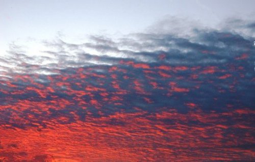 "Левада-центр": Гражданам России важнее всего порядок в стране