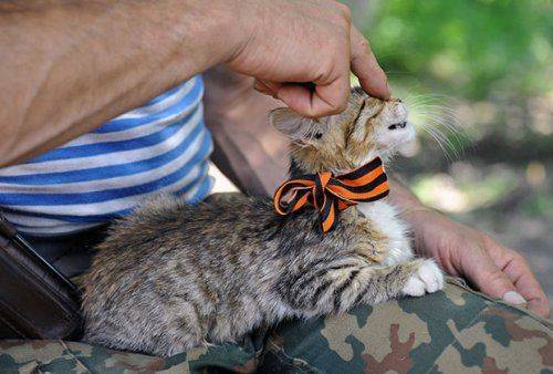 Вежливые. Колорады. Ватники.