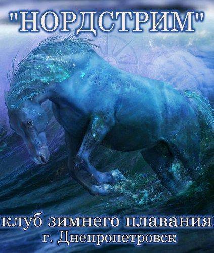 Днепропетровский пловец-экстремал совершит форсирование Керченского пролива в годовщину Дня Победы и освобождения Крыма от фашистских захватчиков