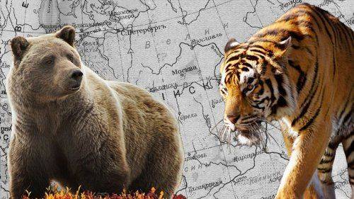 Изучая вероятность российско-китайского альянса