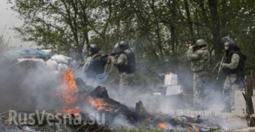 Сводка: бои у Донецка и Дебальцево, у Новогригоровки силы армии ДНР были атакованы двадцатью танками ВСУ