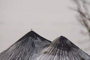 Сводки от ополчения Новороссии 8 января 2015