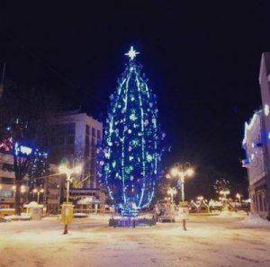 Новогодняя ель рухнула в Ивано-Франковске