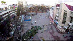 Новогодняя ель рухнула в Ивано-Франковске