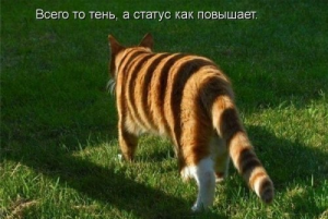 Статусный цирюльник с «Эха Москвы»