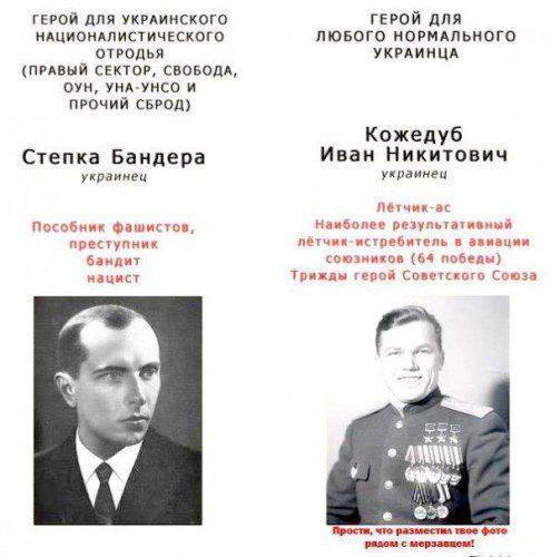 "Мыздобулы" в картинках. Смешных и не очень... 