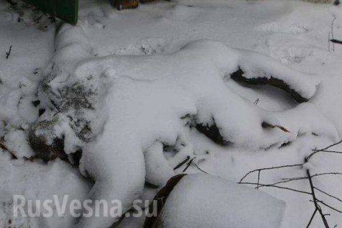 В Дебальцево сильные бои, взрывы не утихают, повсюду лежат тела бойцов ВСУ