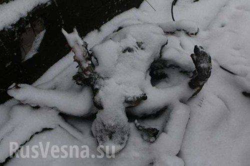 В Дебальцево сильные бои, взрывы не утихают, повсюду лежат тела бойцов ВСУ