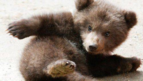 Всемирная история русофобии