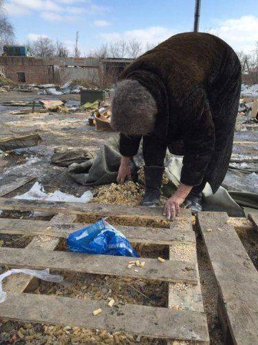 Сводки от ополчения Новороссии 23 февраля 2015