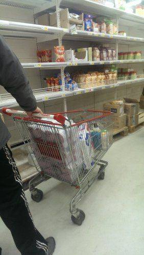 В Европу – с чистой совестью! Украинцы скупают туалетную бумагу  