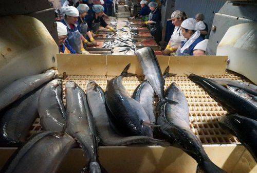 Пустеющая кубышка