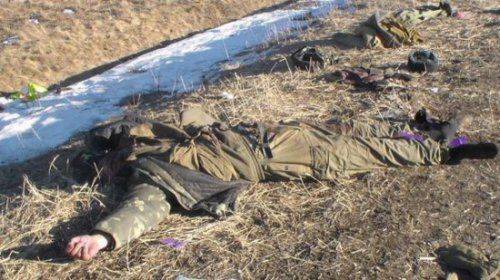 Под Дебальцево обнаружены очередные десятки тел мертвых карателей 