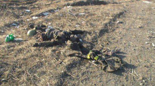 Под Дебальцево обнаружены очередные десятки тел мертвых карателей 