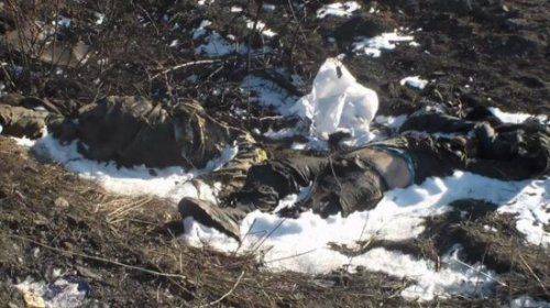 Под Дебальцево обнаружены очередные десятки тел мертвых карателей 