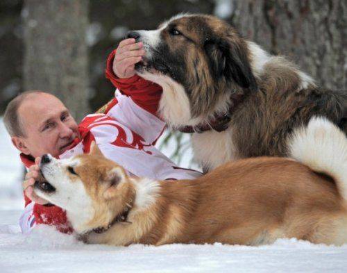 Арест Владимира Владимировича