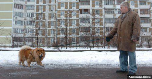 Плюшевый ангел Михаила Чечетова
