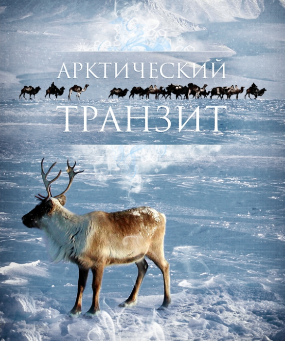 Путь России к морской державе лежит через Арктику