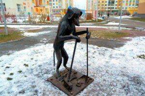 Правила выгула собак регламентирует новый законопроект