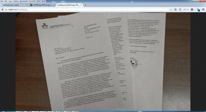 Окончательное решение национального вопроса на Украине?