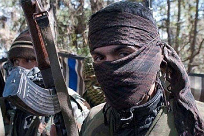 Жадно захлёбываются кровью…