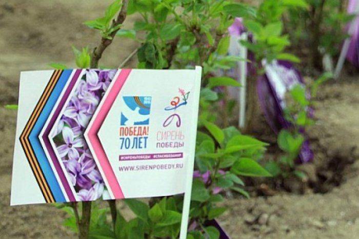 Европейские ценности против украинской дикости. Фоторепортаж из Зеелов