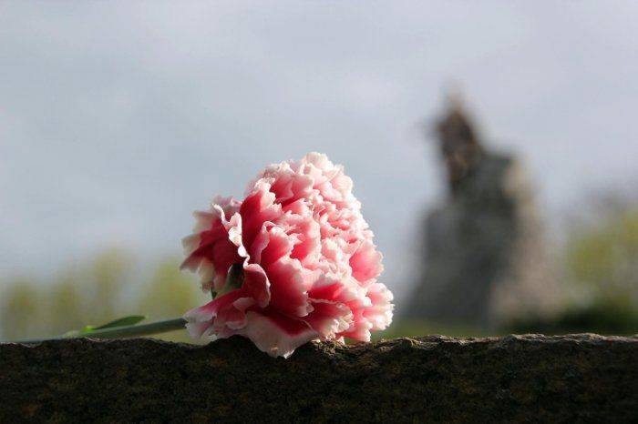 Европейские ценности против украинской дикости. Фоторепортаж из Зеелов