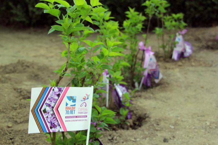 Европейские ценности против украинской дикости. Фоторепортаж из Зеелов