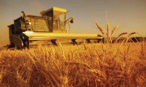 9 миллиардов на Сельское хозяйство