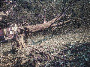 Сводки от ополчения Новороссии 27 апреля 2015