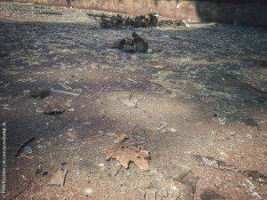 Сводки от ополчения Новороссии 27 апреля 2015