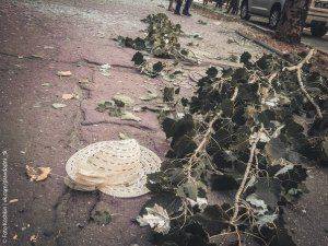 Сводки от ополчения Новороссии 27 апреля 2015