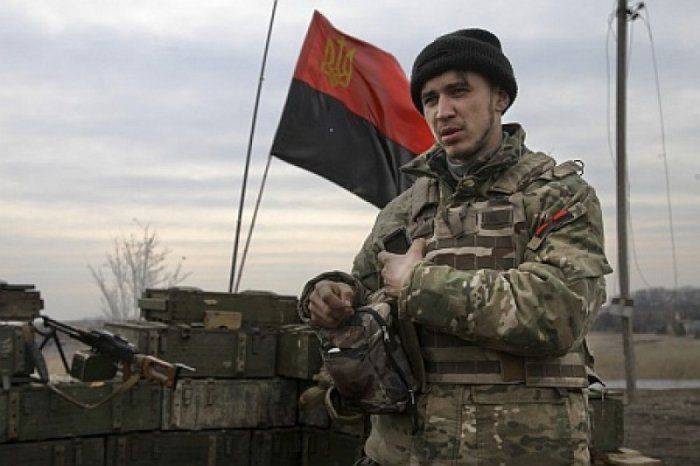 «Неопытные десантники» расстреляли машину с журналистами Яроша