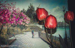 Сводки от ополчения Новороссии 8 мая 2015