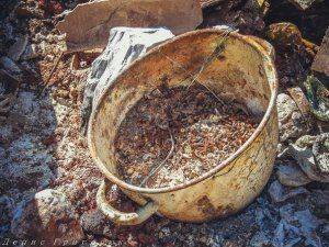 Сводки от ополчения Новороссии 21 мая 2015