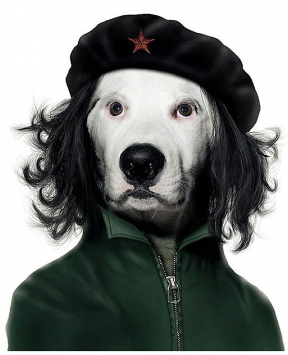 Агент Фирташа