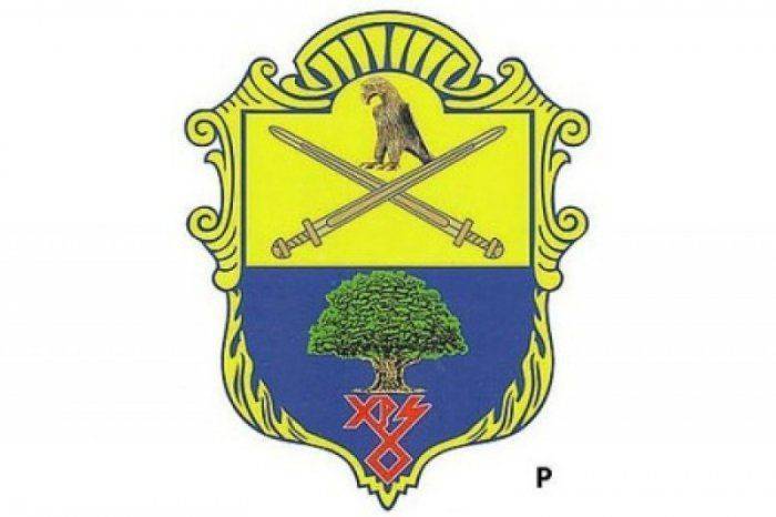 Националисты решили сделать знак SS гербом Запорожья