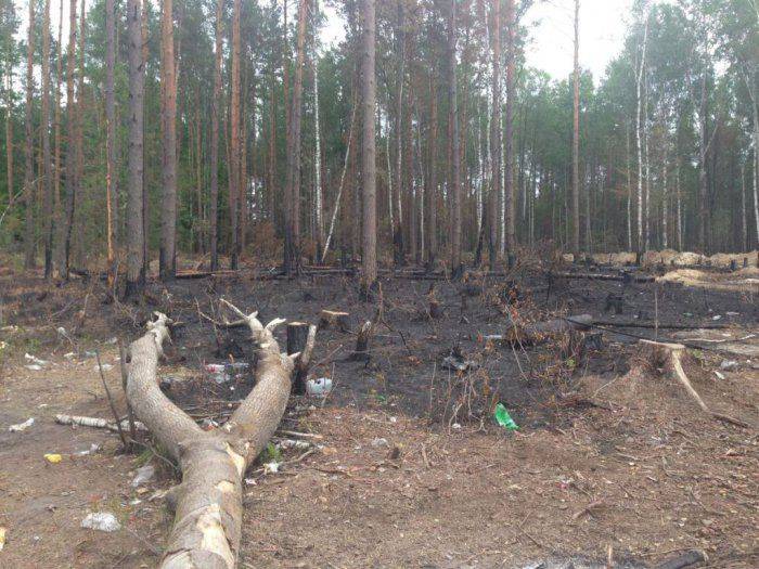 Несколько районов Центральной и Западной Украины вышли из подчинения Киева