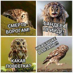 Очередная перемога