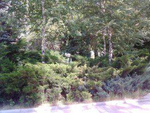 Сводки от ополчения Новороссии 28 июня 2015