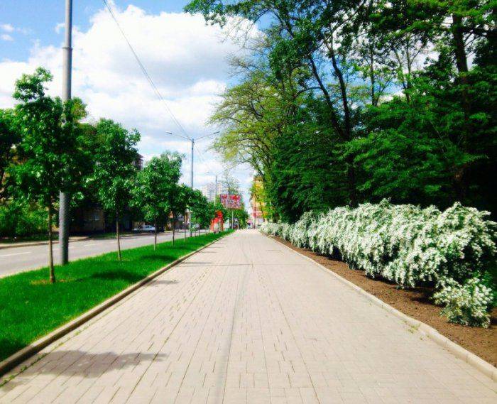 Киевские европейцы, сидя в грязи, завидуют чистенькому и ухоженному Донецку