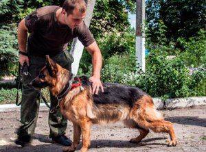 Сводки от ополчения Новороссии 25 июля 2015