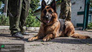 Сводки от ополчения Новороссии 25 июля 2015