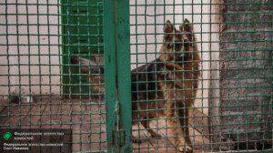 Сводки от ополчения Новороссии 25 июля 2015