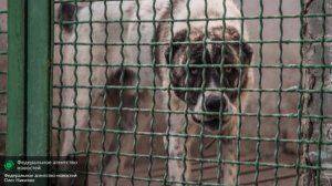 Сводки от ополчения Новороссии 25 июля 2015