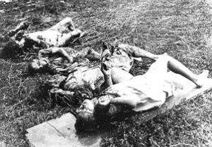 Польский режиссер фильма про «Волынскую резню» отказался использовать документальные фото жертв из-за зашкаливающей жестокости