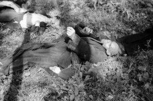 Польский режиссер фильма про «Волынскую резню» отказался использовать документальные фото жертв из-за зашкаливающей жестокости