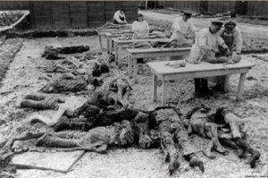 Польский режиссер фильма про «Волынскую резню» отказался использовать документальные фото жертв из-за зашкаливающей жестокости