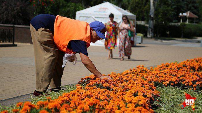 Прогулка по мирному Донецку