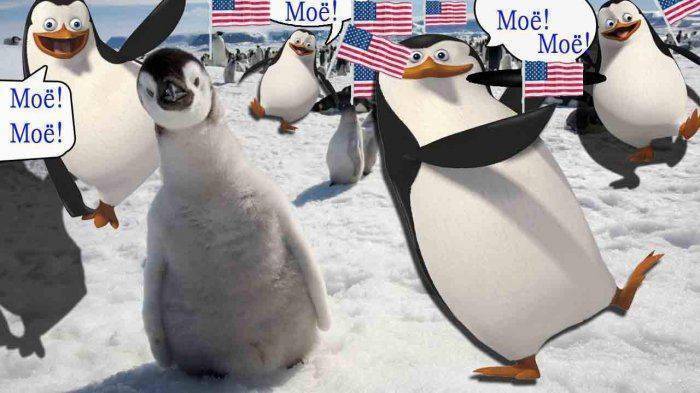 Арктический спор